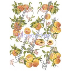 Carta per decoupage con pesche e fiori - Classica Serie 6 cod. 058/bis