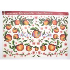 Carta velo per decoupage con pesche e fiori DFV81